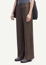 Load image into Gallery viewer, FINE PLEATED Pants // Major brown