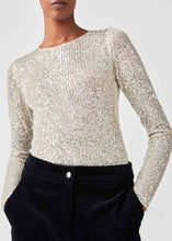 Load image into Gallery viewer, SEQUINS Top // Silver